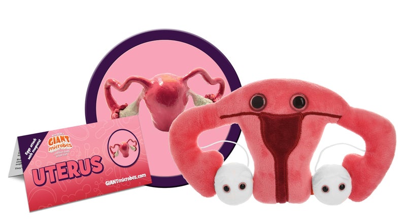 GIANT MICROBES Uterus Plush Toy, Hysterectomy Gifts, Endometriosis Awareness, Feminist Gifts, Fertility Gift, Get Well Gift - Image 2